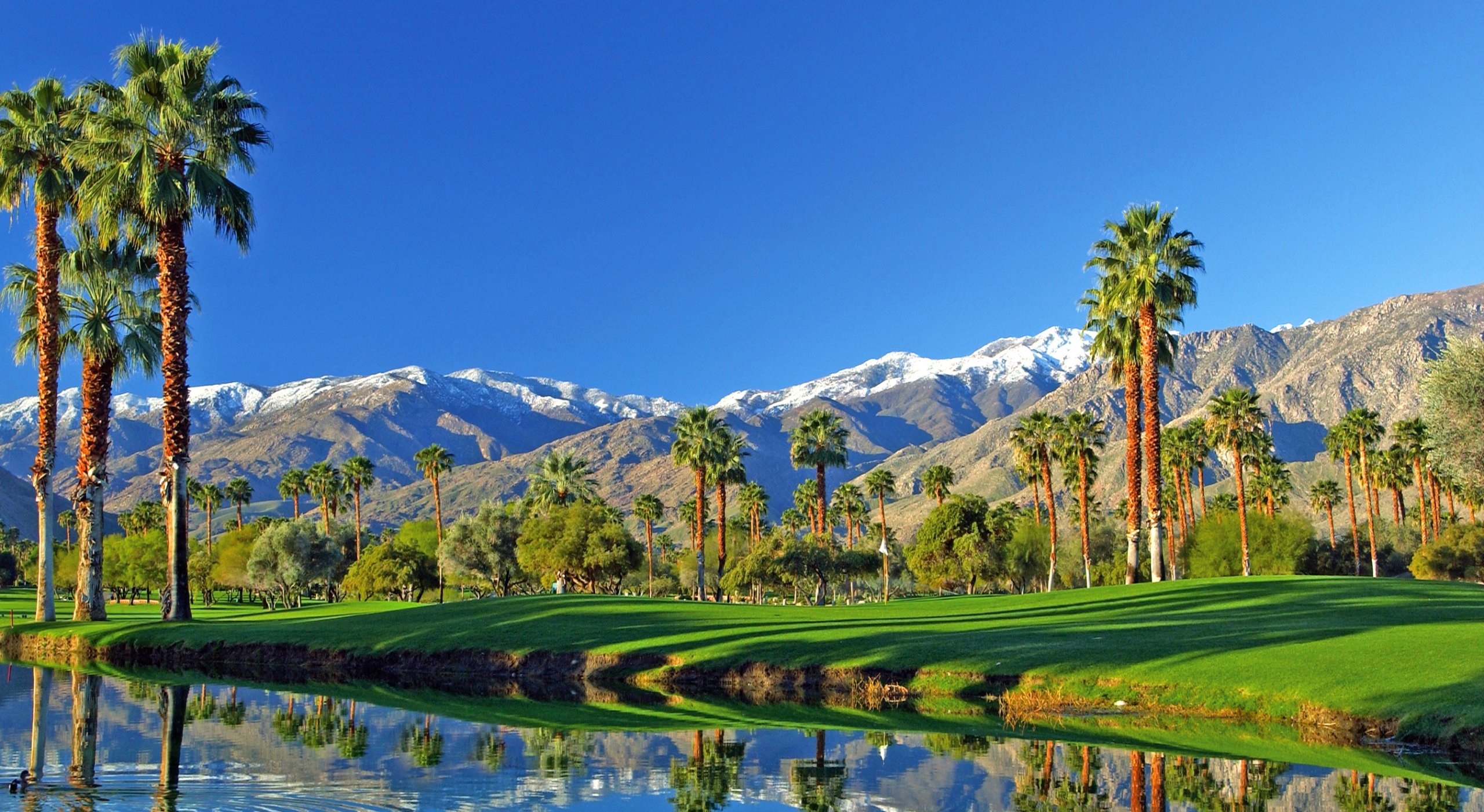 Calgary to Palm Springs or San Diego | Non-stop flights w/ Westjet